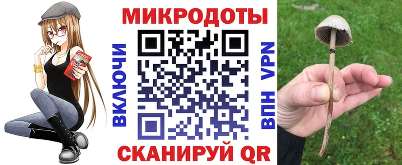 Галлюциногенные грибы Cubensis  Оренбург 